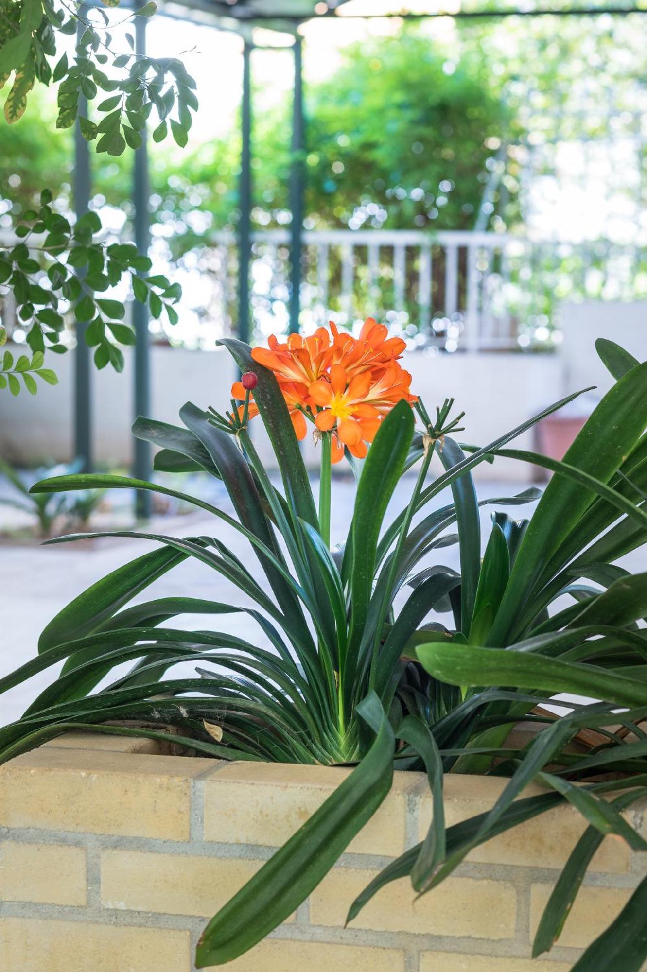 Glyfada'S Cosy Apartments Atenas Exterior foto