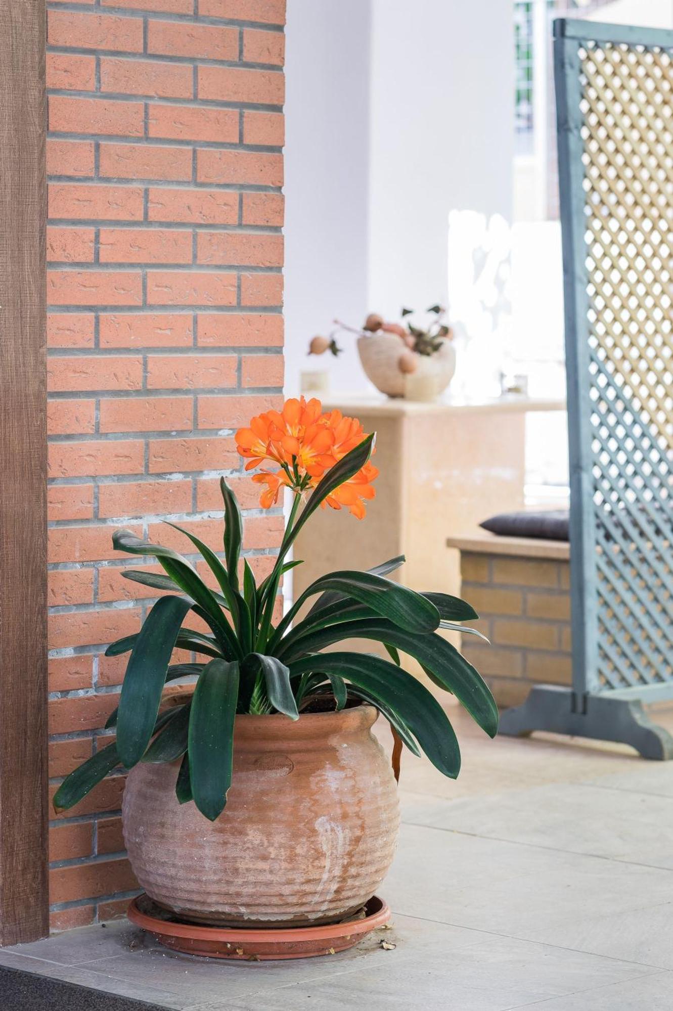 Glyfada'S Cosy Apartments Atenas Exterior foto